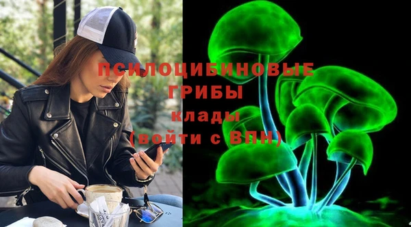 ГАЛЛЮЦИНОГЕННЫЕ ГРИБЫ Бронницы